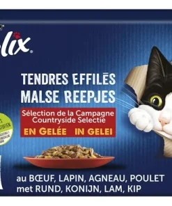 FELIX tendres effilés gelée chat 12x85g