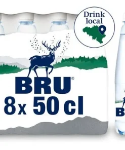 BRU Eau légèrement pétillante 50cl (1pc)